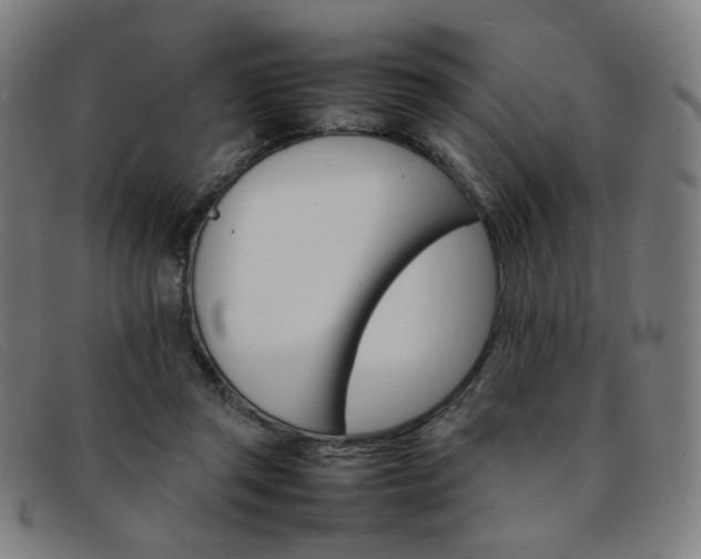 X0000092050357200709121217