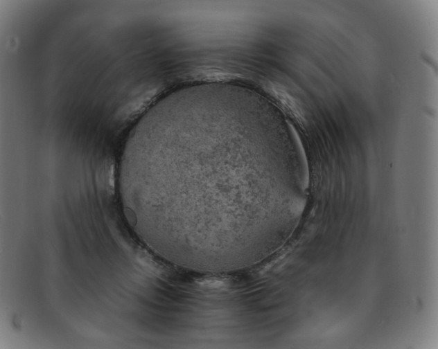 X0000092050358200709121217