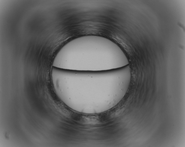 X0000092050359200709121217