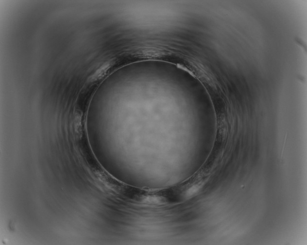 X0000092050360200709121217