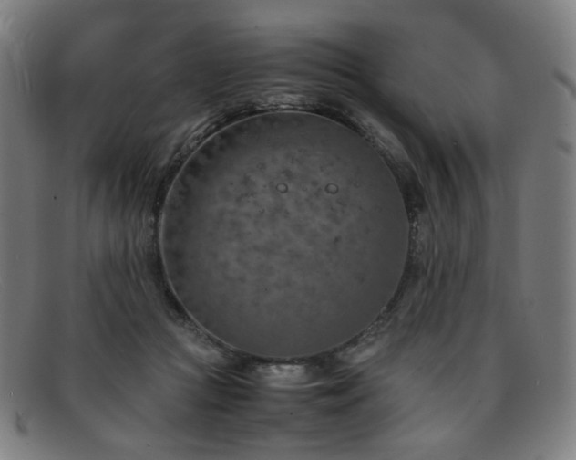 X0000092050361200709121217