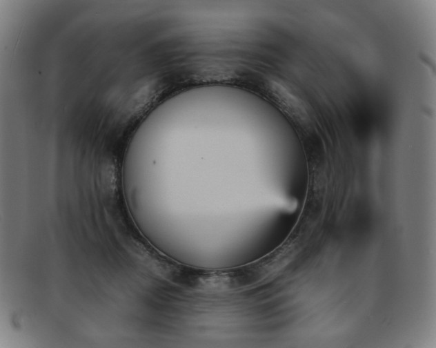 X0000092050362200709121217