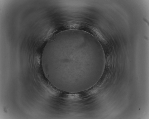 X0000092050363200709121217