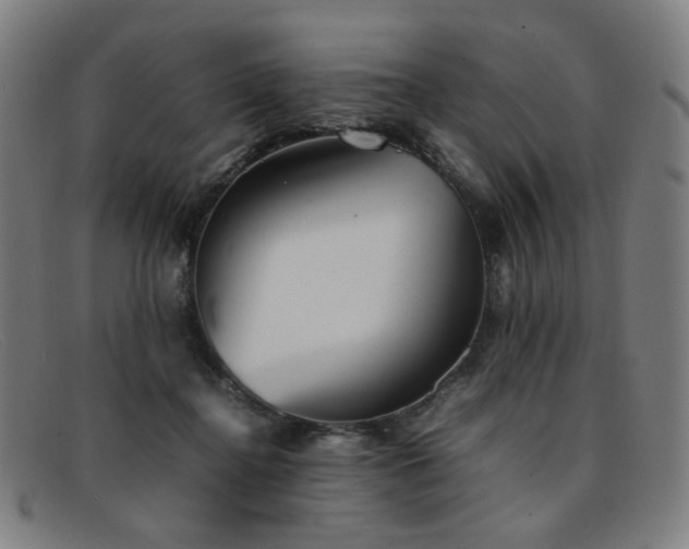 X0000092050364200709121217