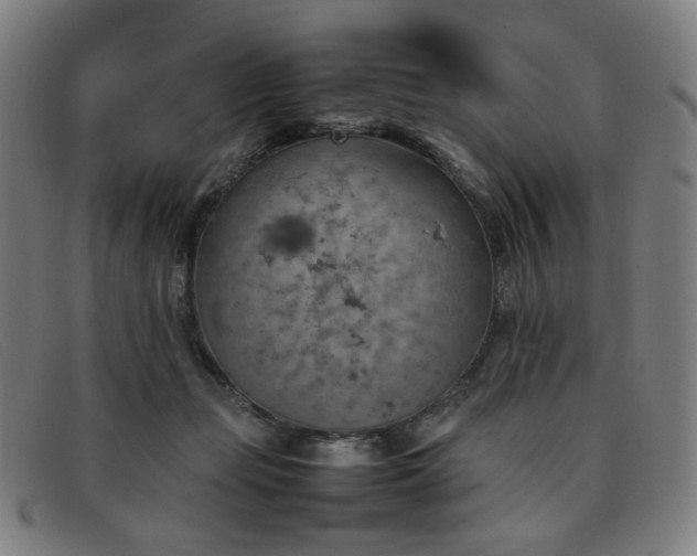 X0000092050365200709121217