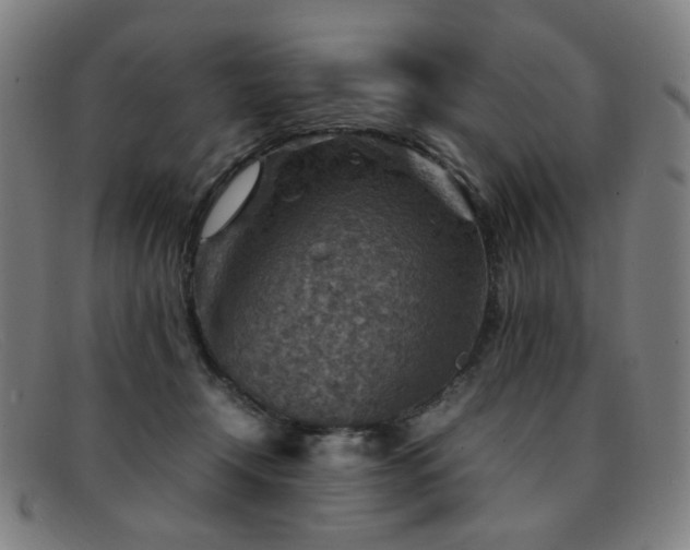 X0000092050366200709121217