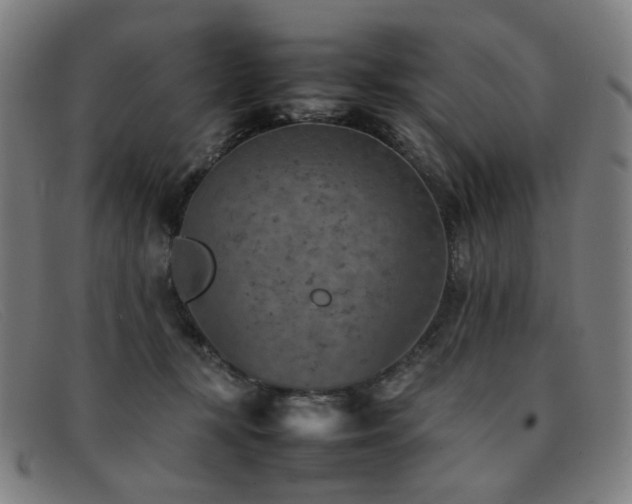 X0000092050367200709121217