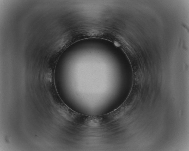 X0000092050368200709121217