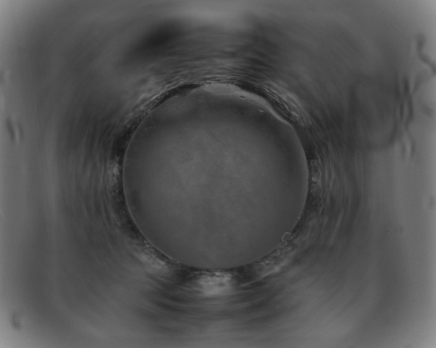 X0000092050369200709121217