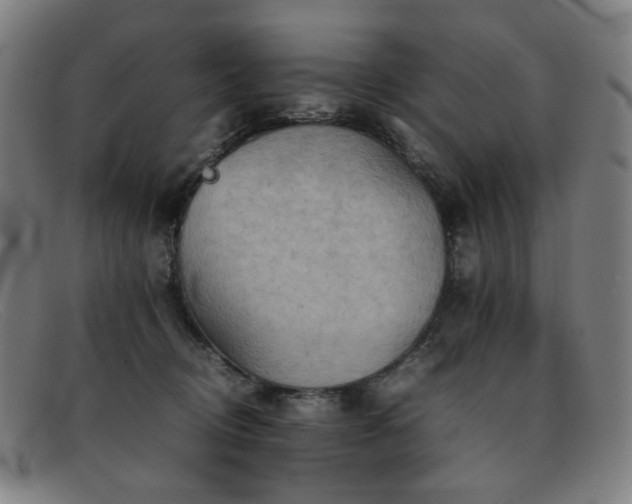 X0000092050370200709121217