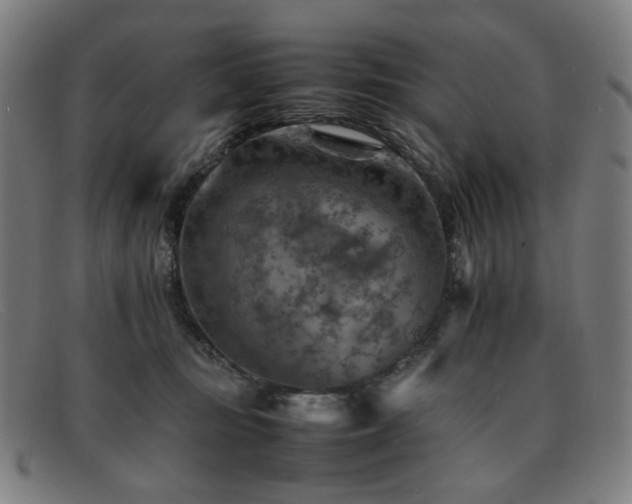 X0000092050371200709121217