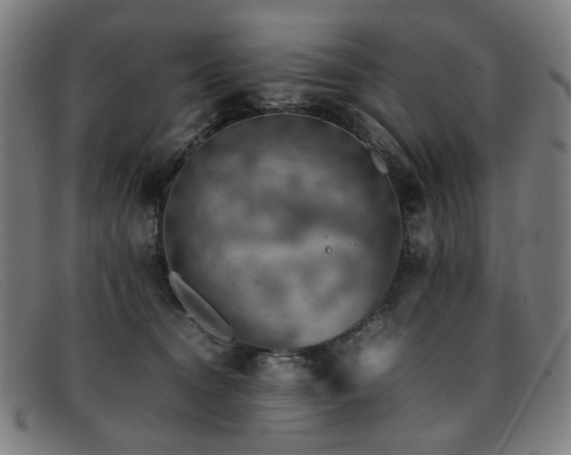 X0000092050372200709121217