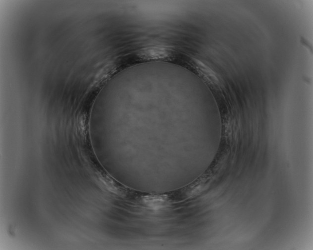 X0000092050373200709121217