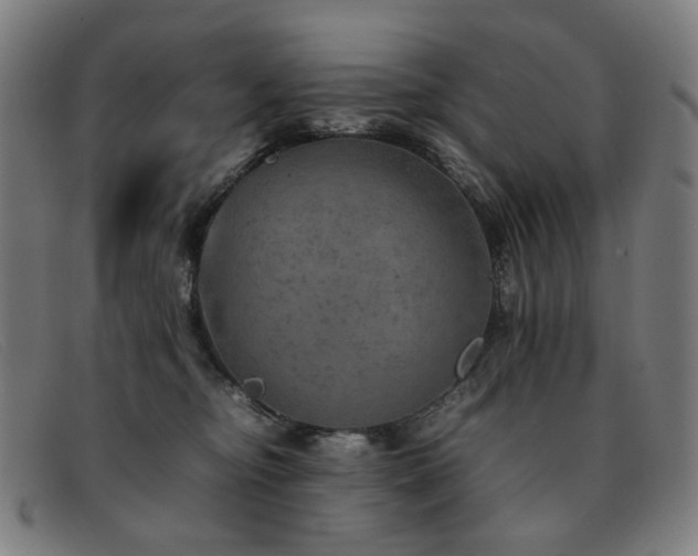 X0000092050374200709121217