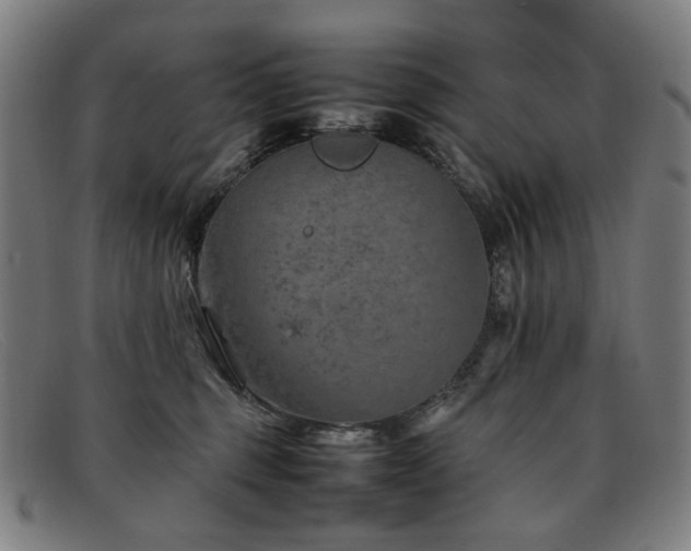 X0000092050375200709121217