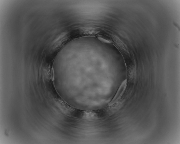 X0000092050376200709121217