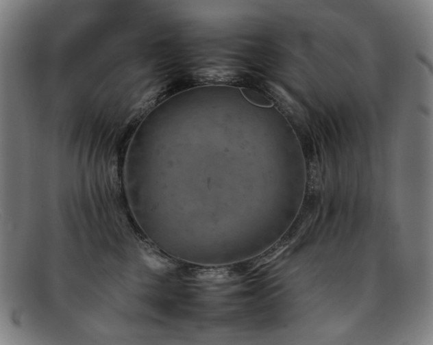 X0000092050377200709121217