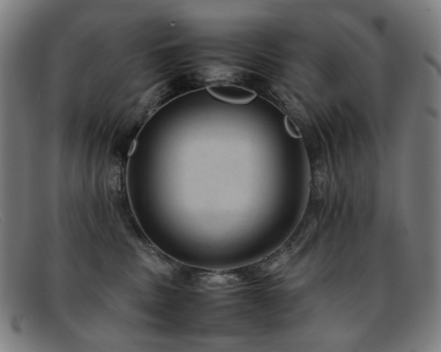 X0000092050379200709121217