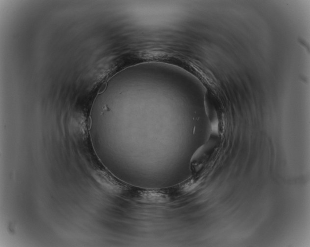 X0000092050380200709121217