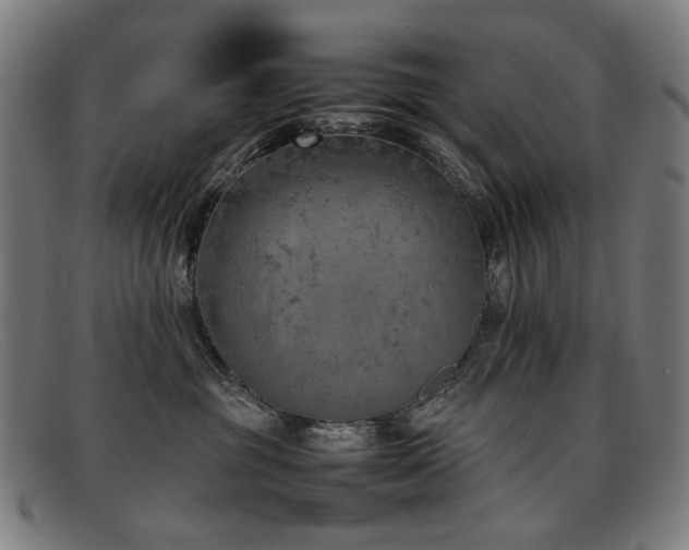 X0000092050381200709121217