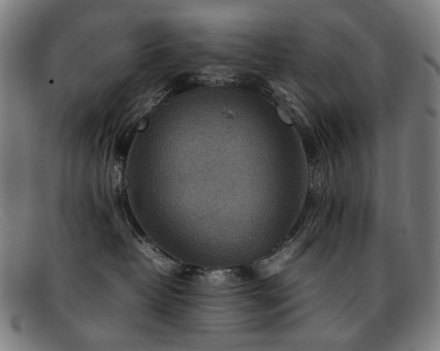 X0000092050382200709121217