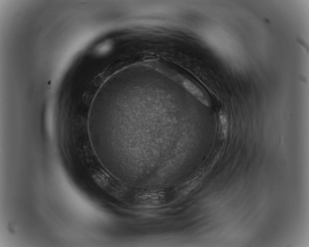 X0000092050383200709121217