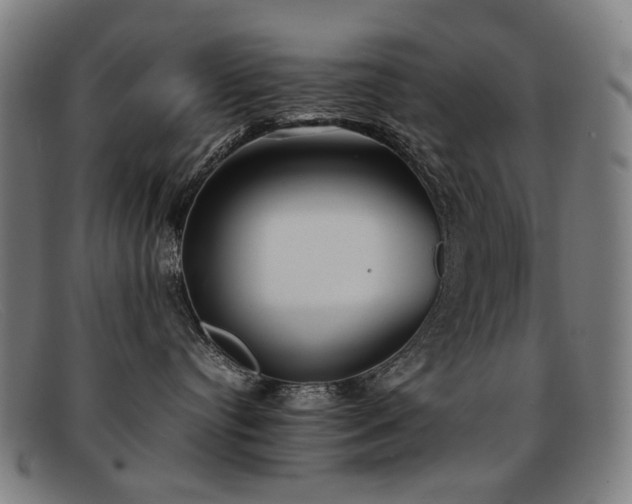 X0000092050384200709121217