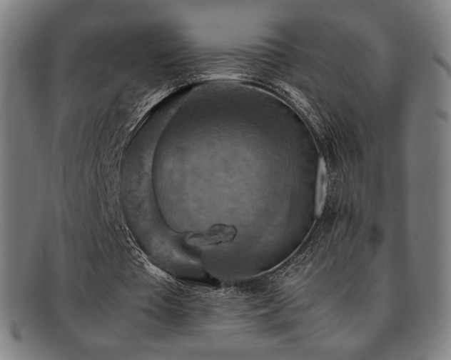 X0000092050385200709121217