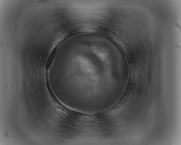 X0000092050386200709121217