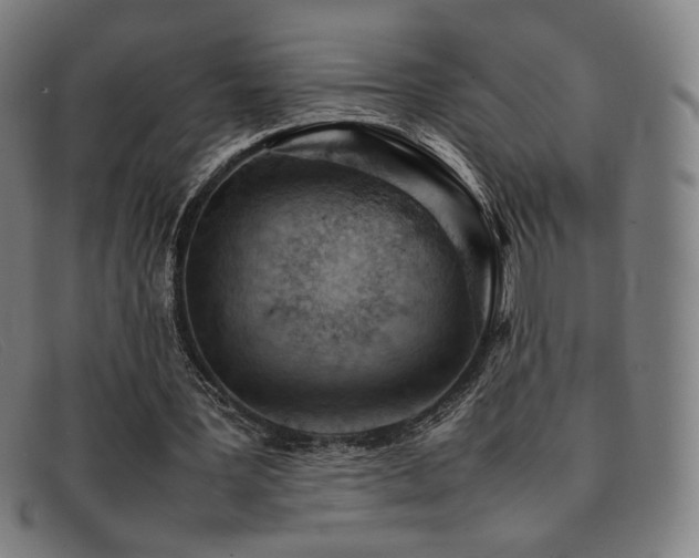 X0000092050387200709121217