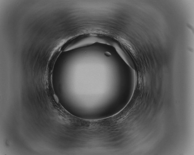 X0000092050388200709121217