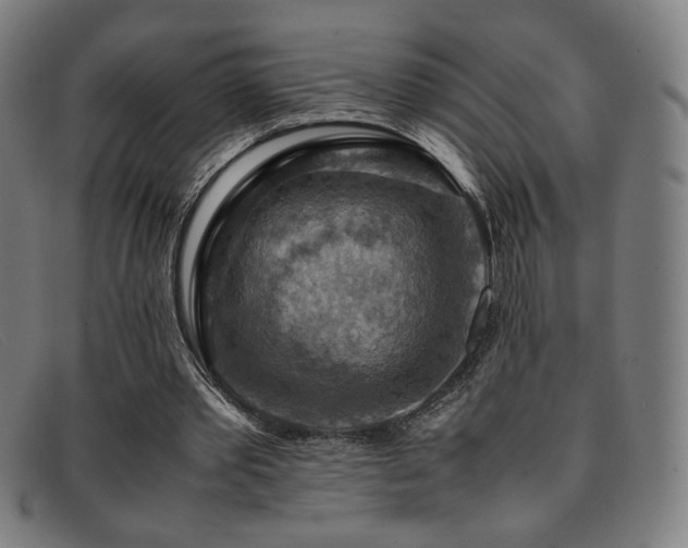 X0000092050389200709121217