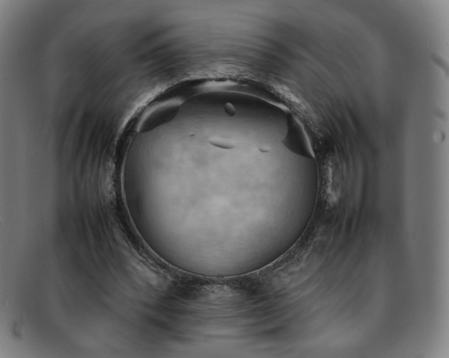 X0000092050392200709121216