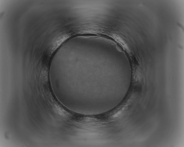 X0000092050393200709121216