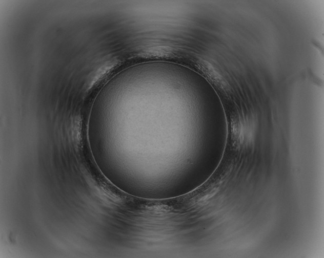 X0000092050396200709121216