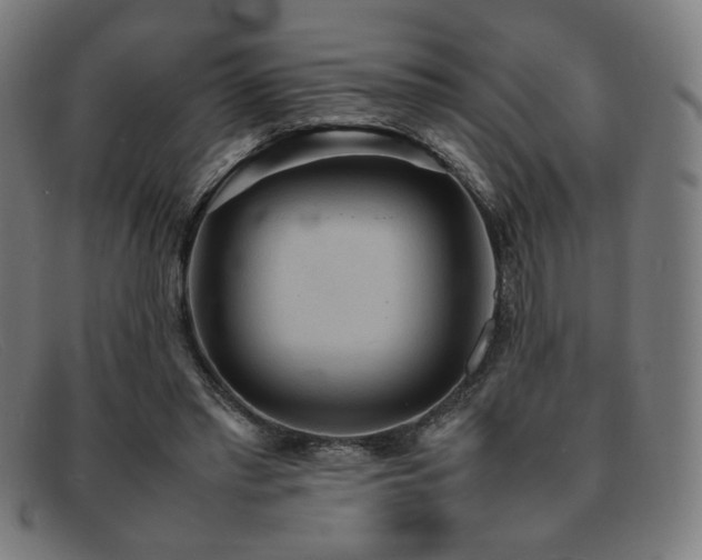 X0000092050397200709121216