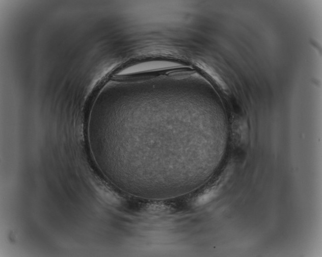 X0000092050399200709121216