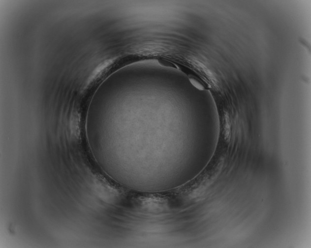 X0000092050400200709121216