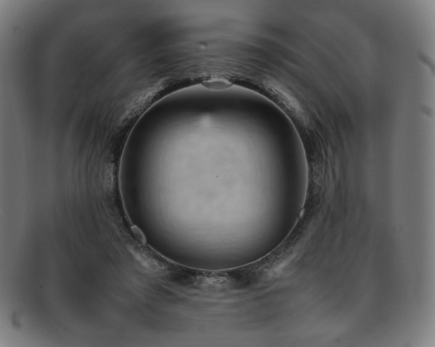 X0000092050401200709121216