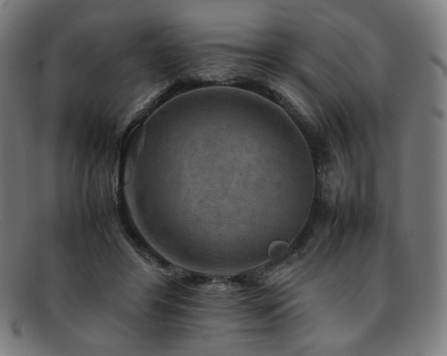 X0000092050404200709121216