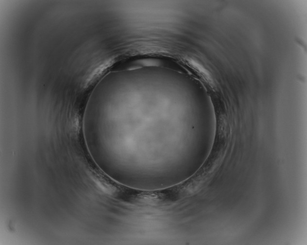 X0000092050405200709121216