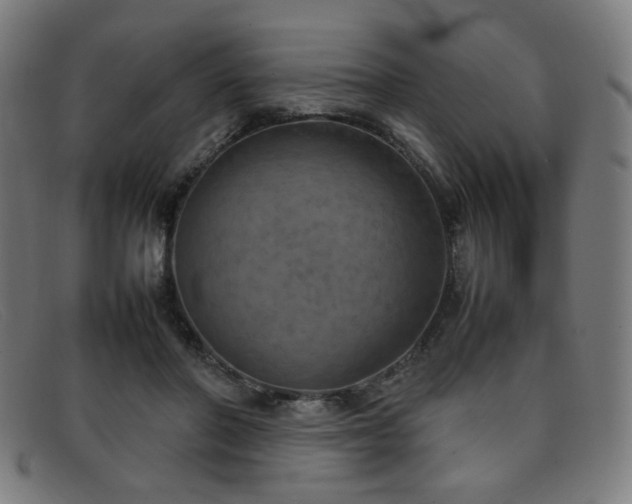 X0000092050406200709121216