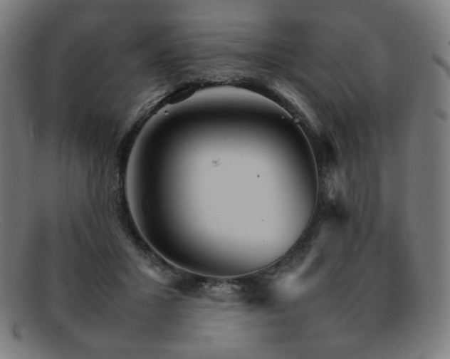 X0000092050407200709121216