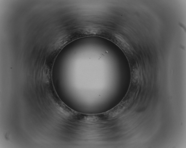 X0000092050414200709121216