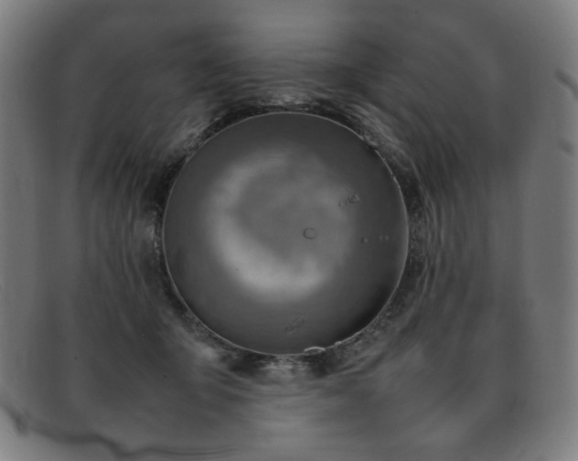 X0000092050415200709121216