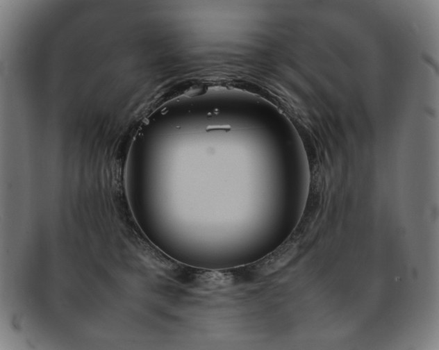 X0000092050421200709121216