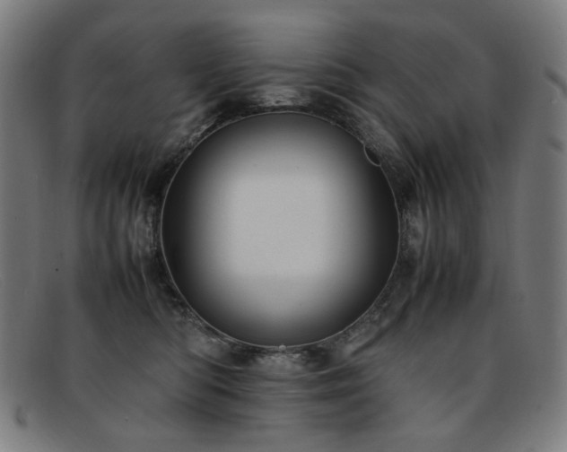 X0000092050422200709121216