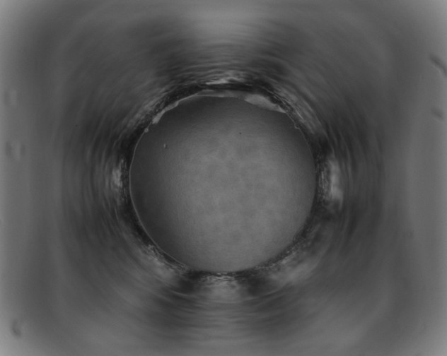 X0000092050424200709121216