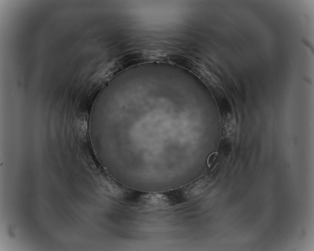 X0000092050427200709121216