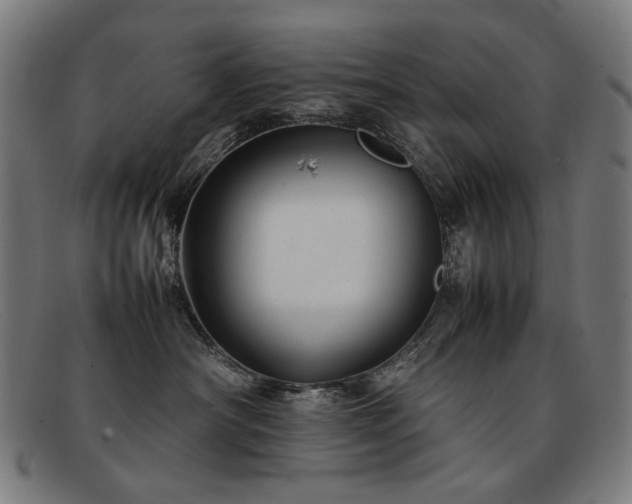 X0000092050430200709121216